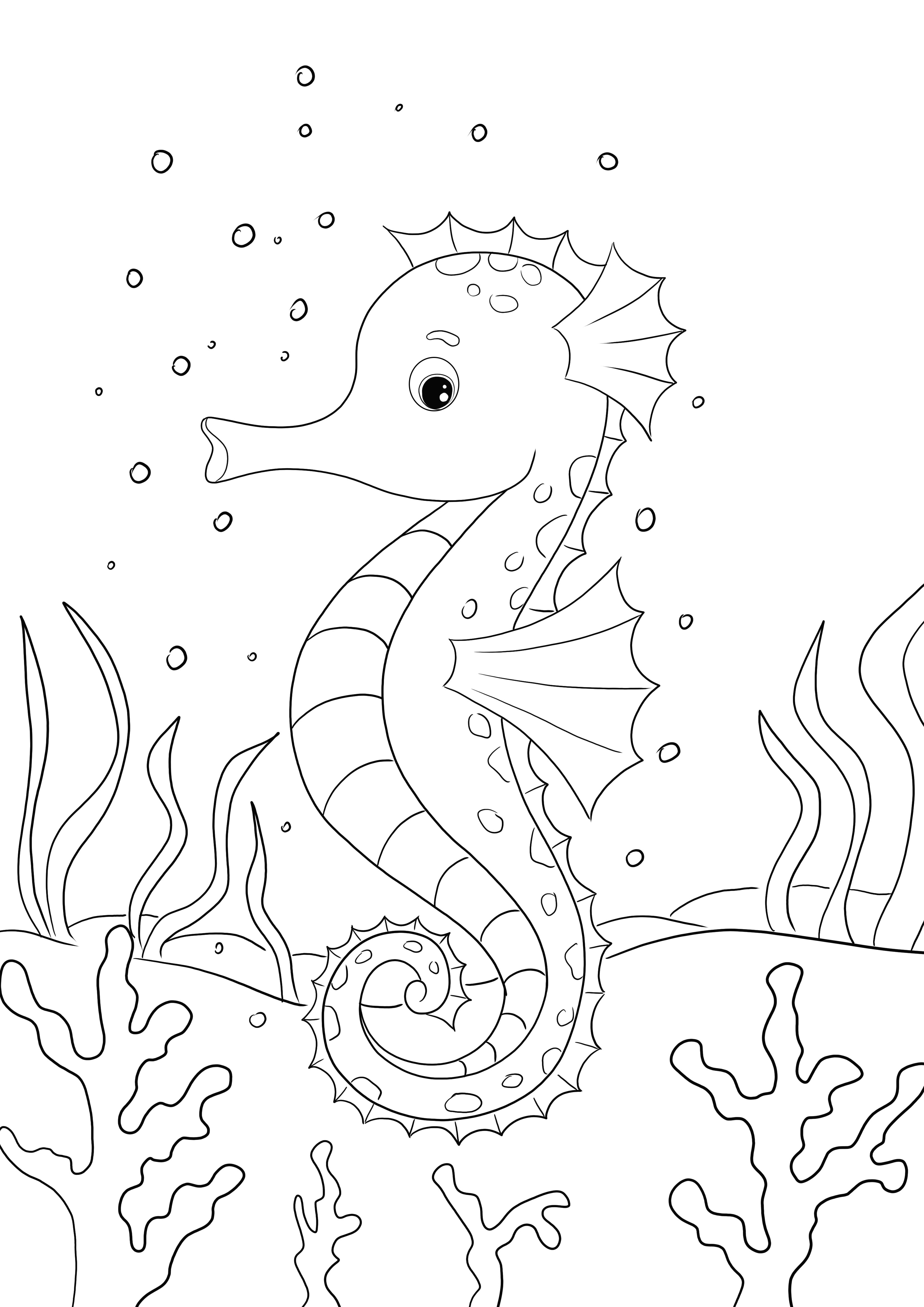 Seahorse free to print and color image for kids