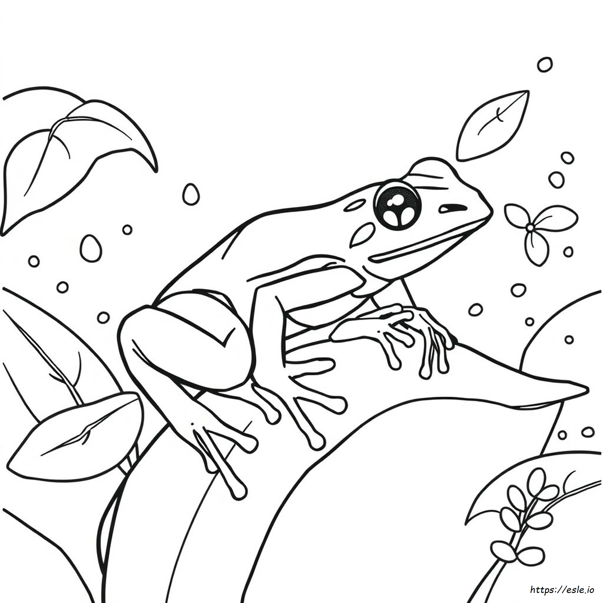 Realistic Poison Dart Frog Coloring Page