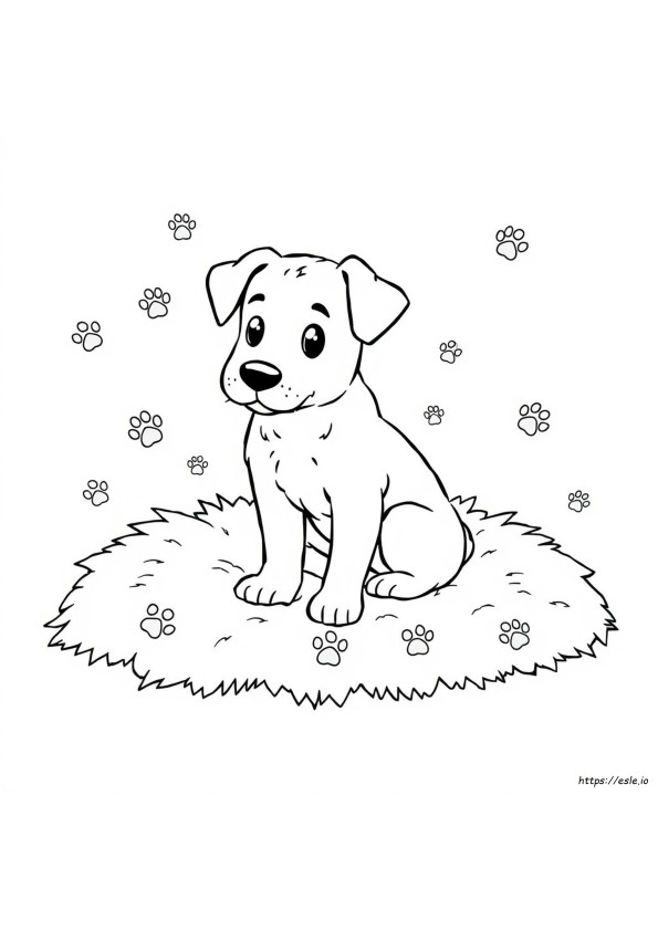 Dog Images Coloring Pages