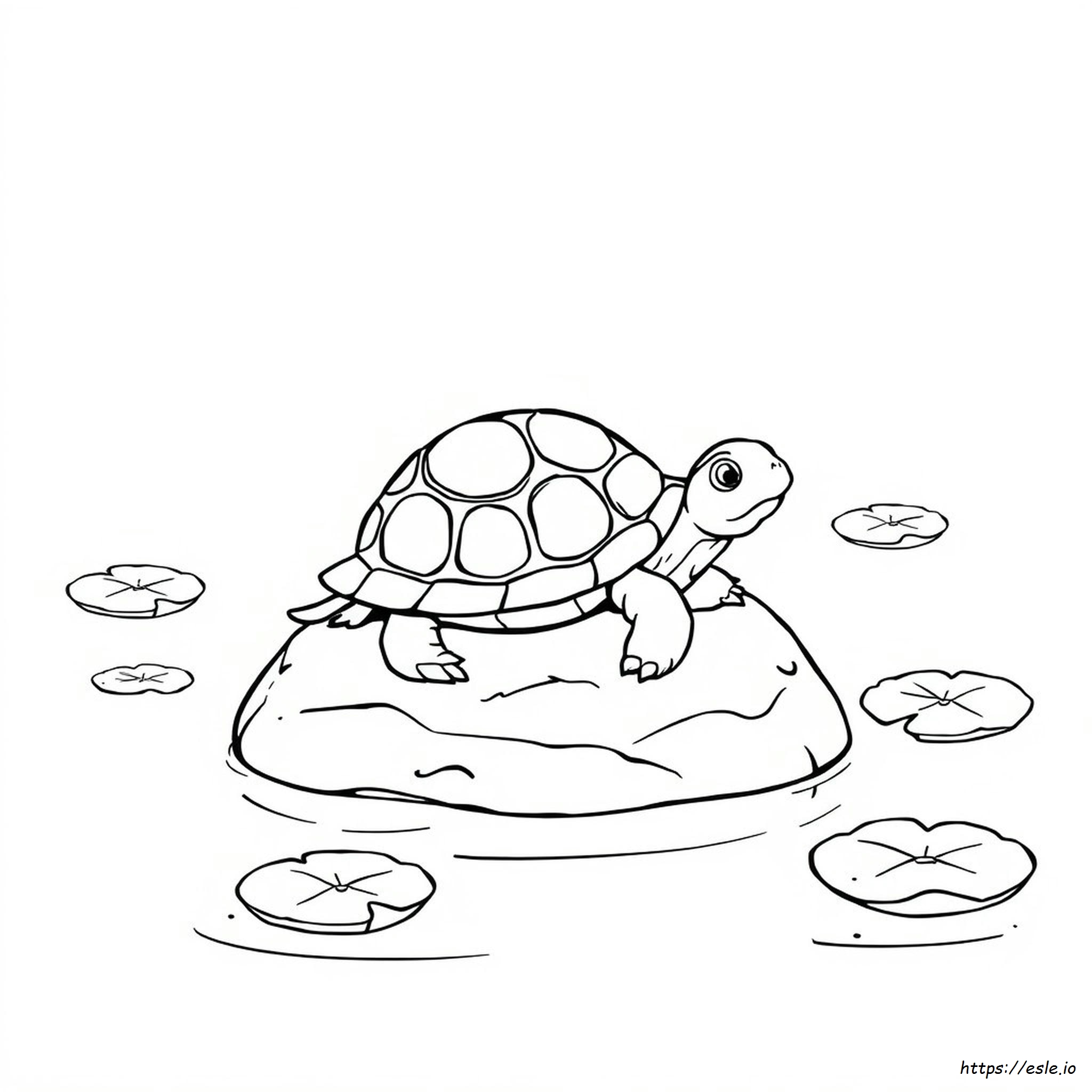 Coloring Page Of A Turtle