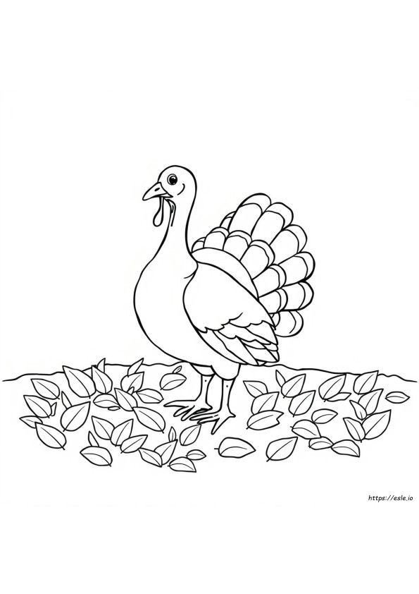Printable Turkey Coloring Pages