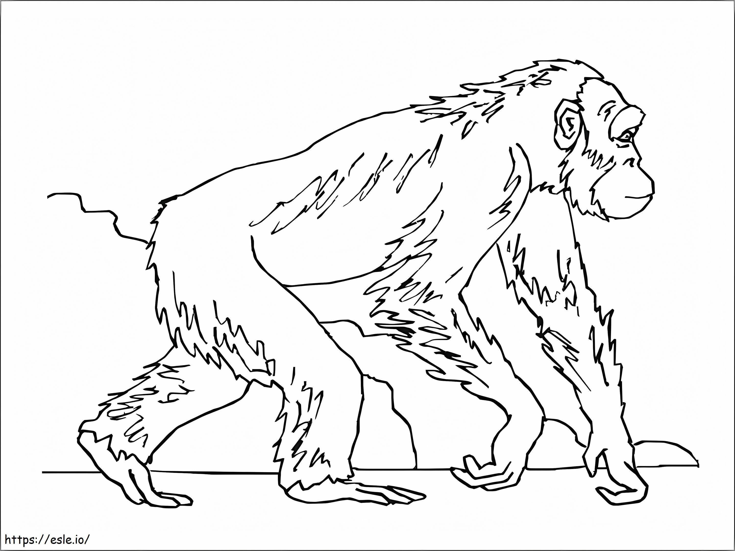Walking Ape coloring page