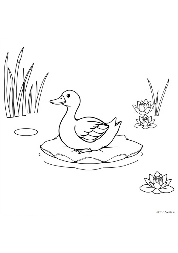 Coloriages Canard À Imprimer Gratuits