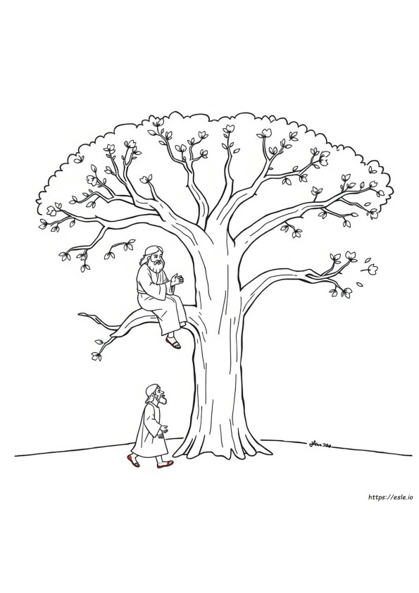Coloring Pages Zacchaeus Tree