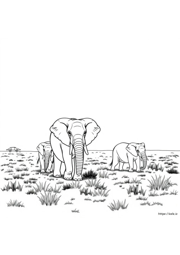 Imagens De Elefantes Para Colorir