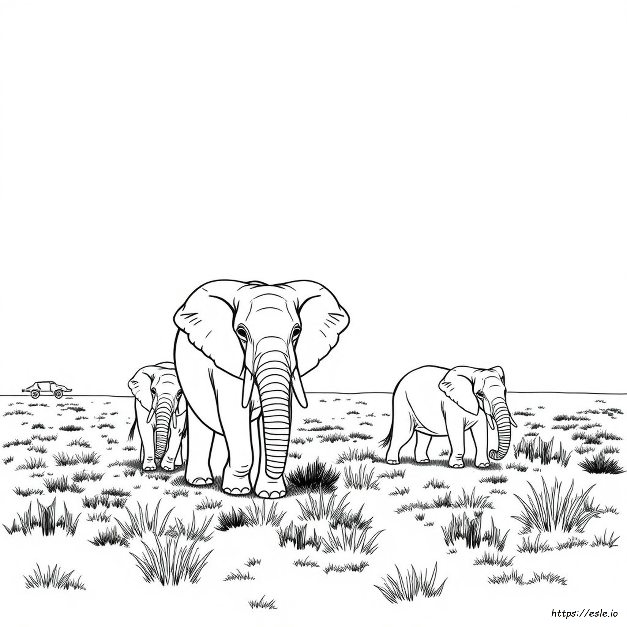 Elephant Images For Coloring