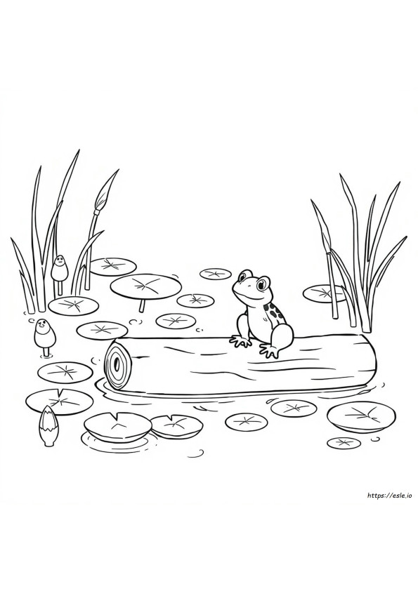Swamp Coloring Page