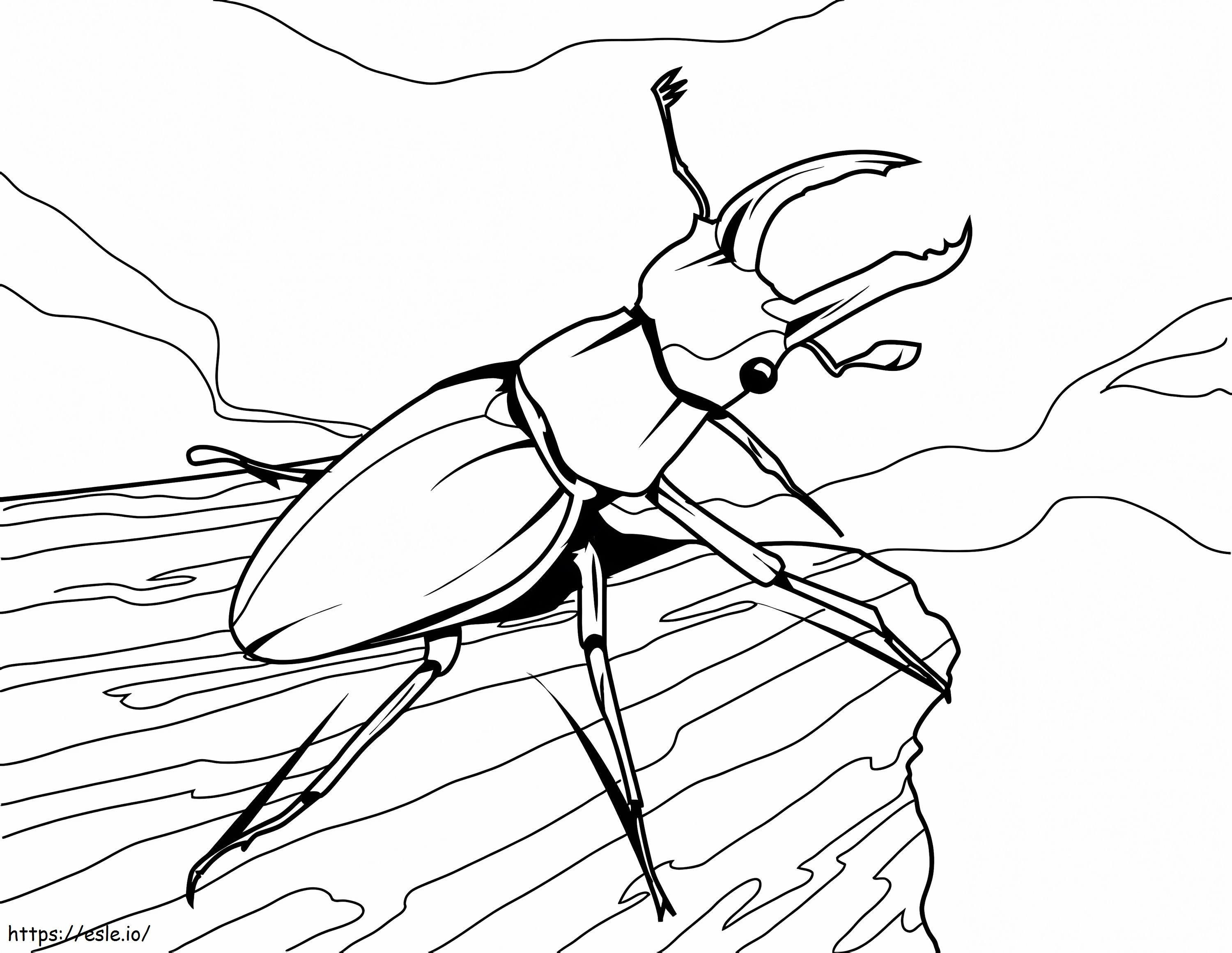 Print Stag Beetle coloring page