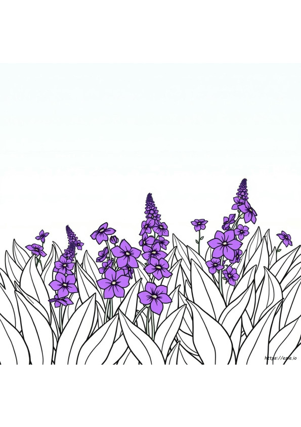 Purppuran Värityskuvat