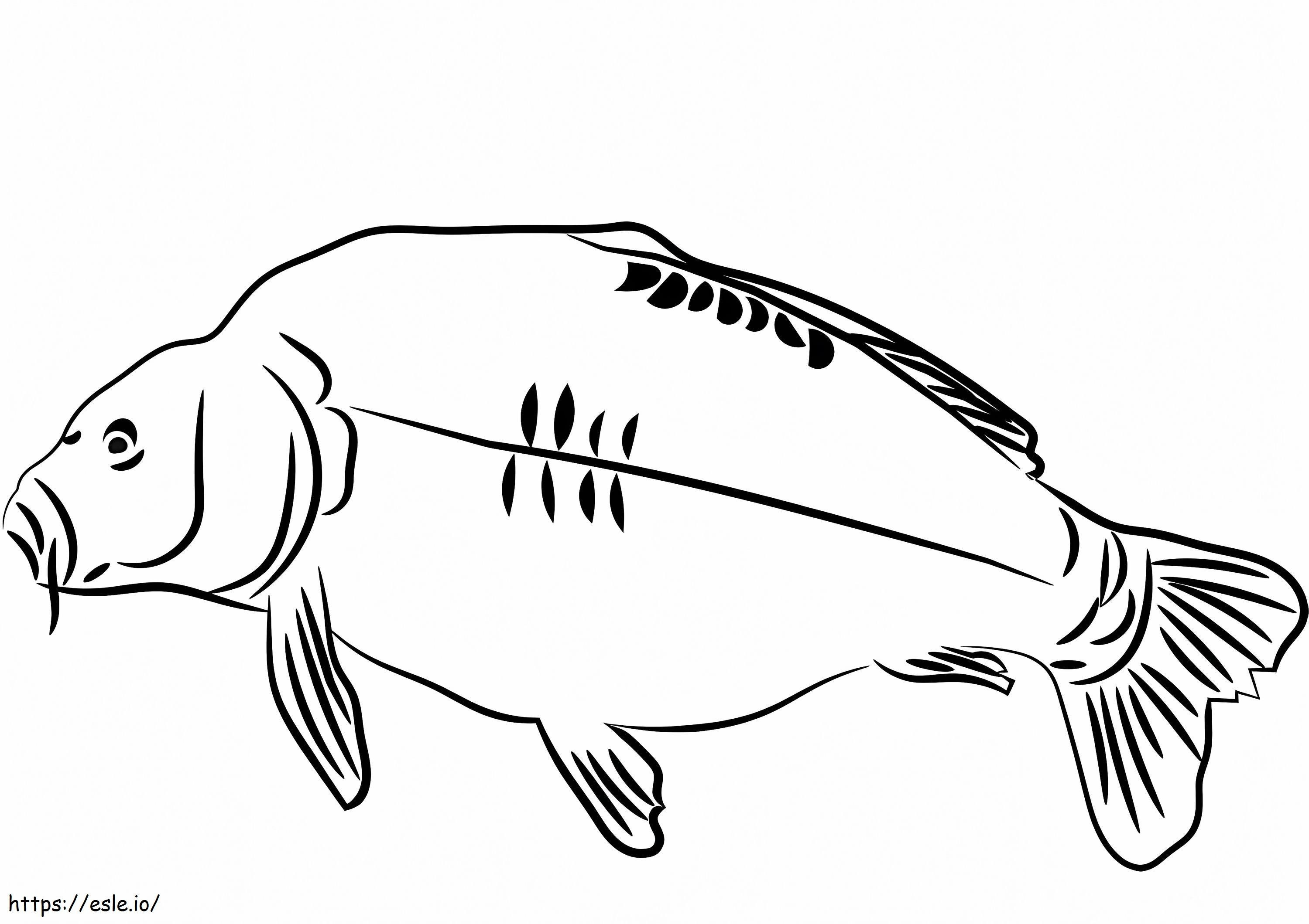 Easy Carp coloring page