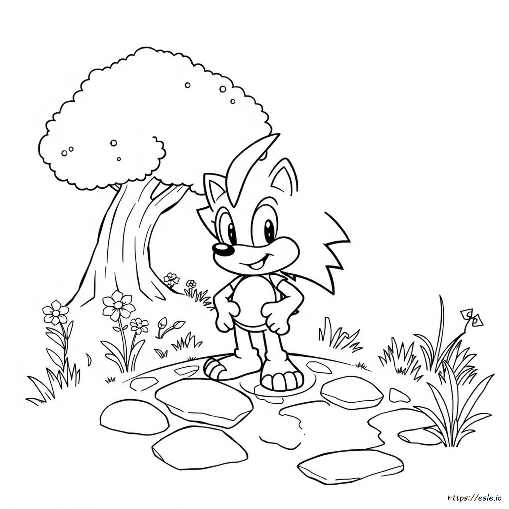 Nazo The Hedgehog Coloring Pages