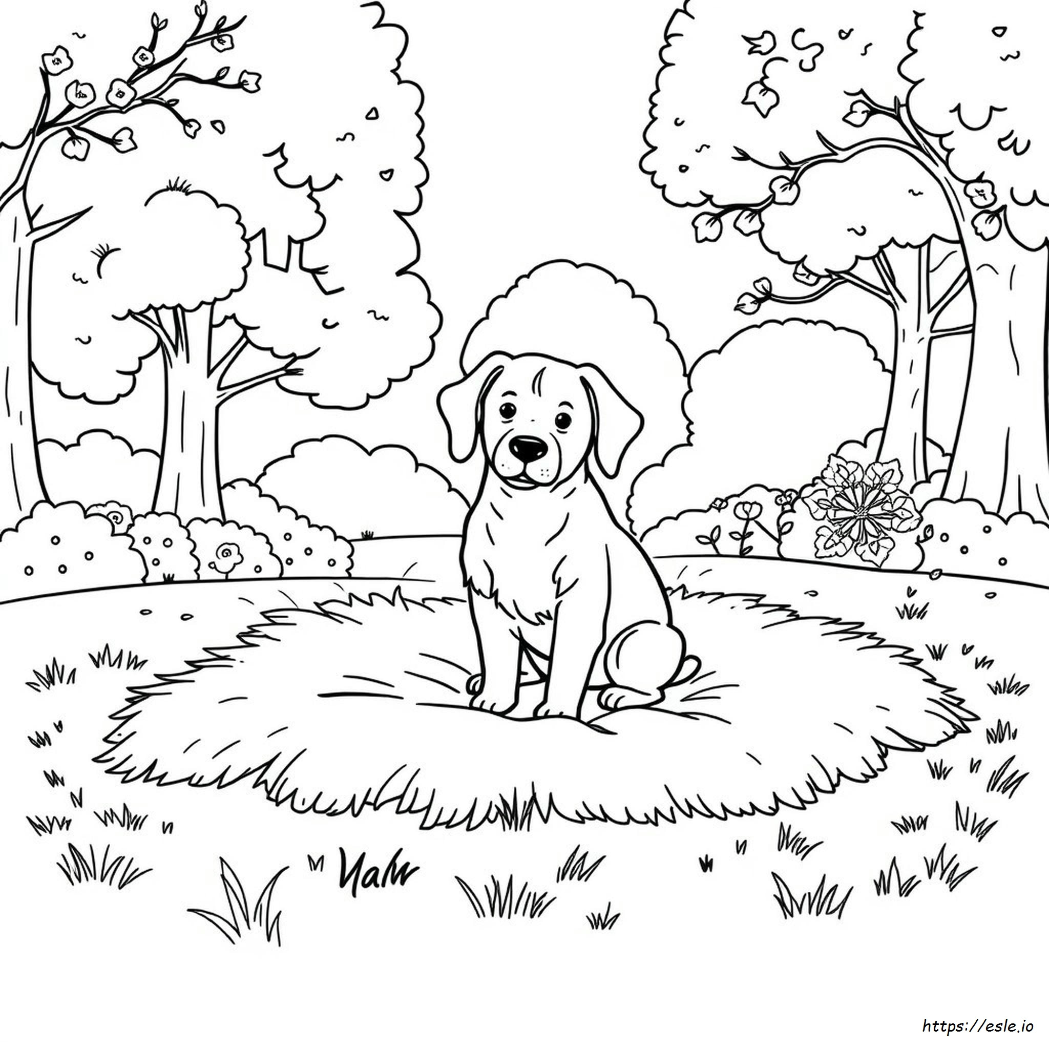 Hund Ausmalbilder