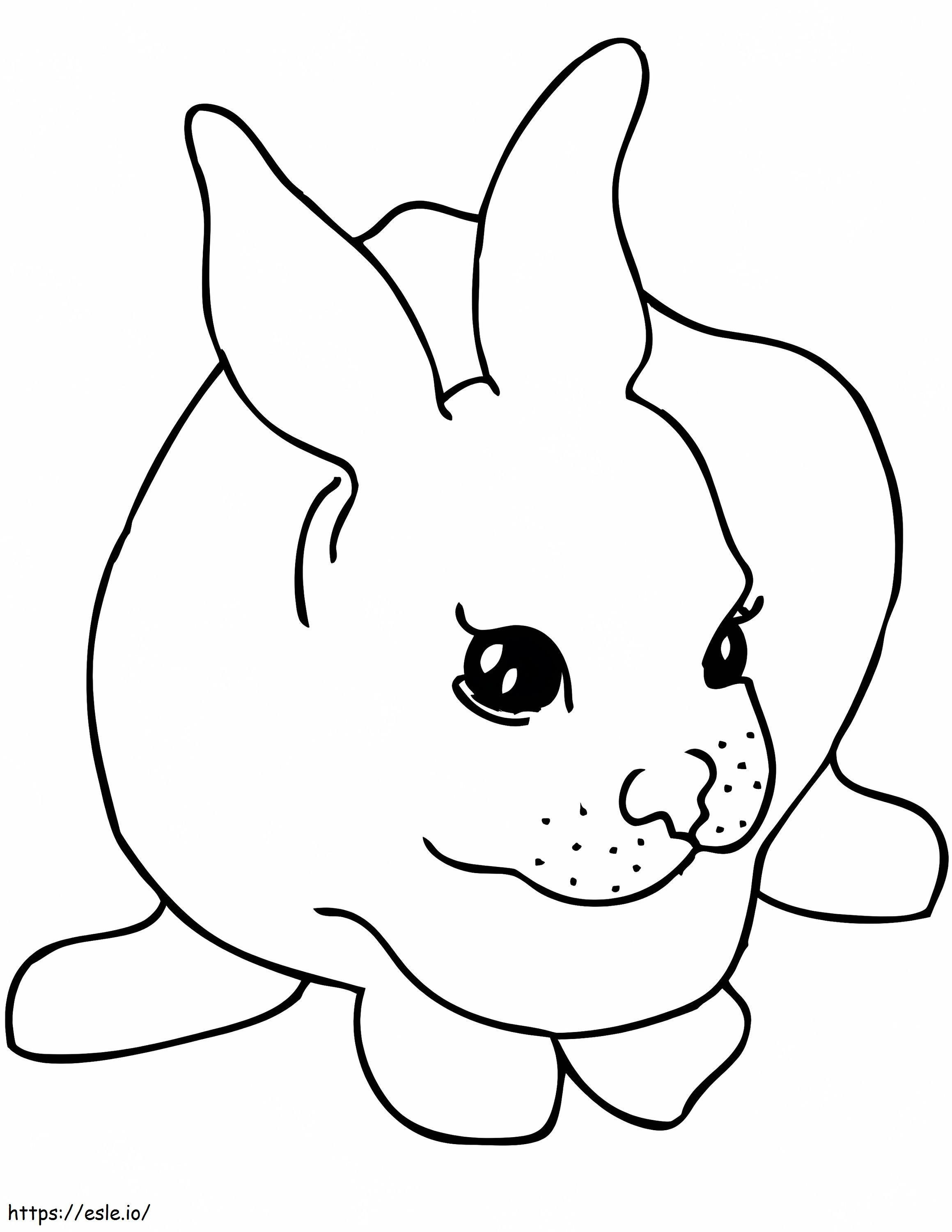 シンプルなウサギ ぬりえ - 塗り絵