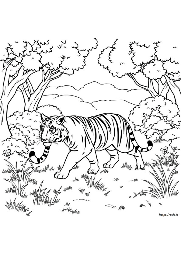 Darmowe Kolorowanki Do Druku Z Tygrysami