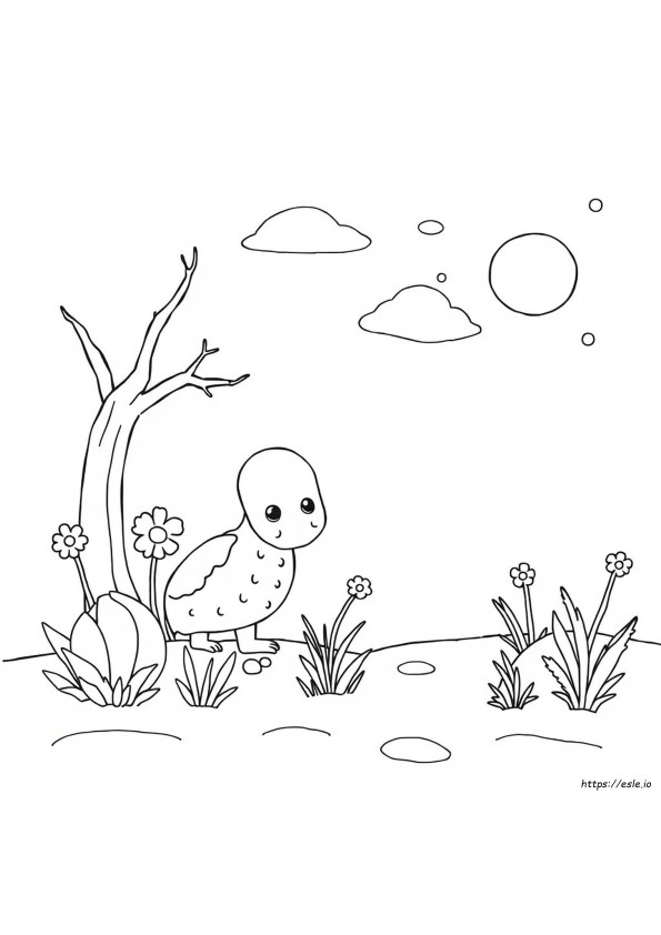 What Size Is A Coloring Book