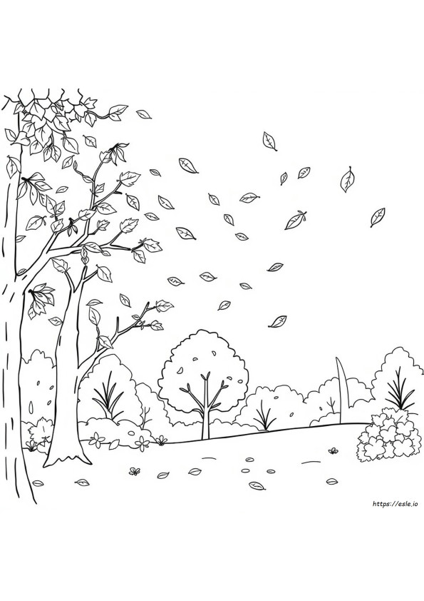 Coloriages D'automne