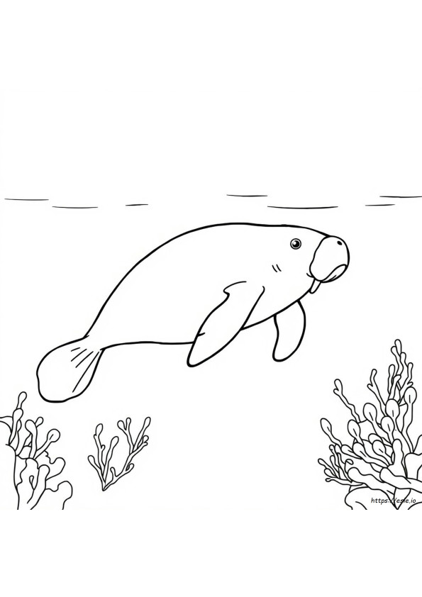 Coloriage Lamantin