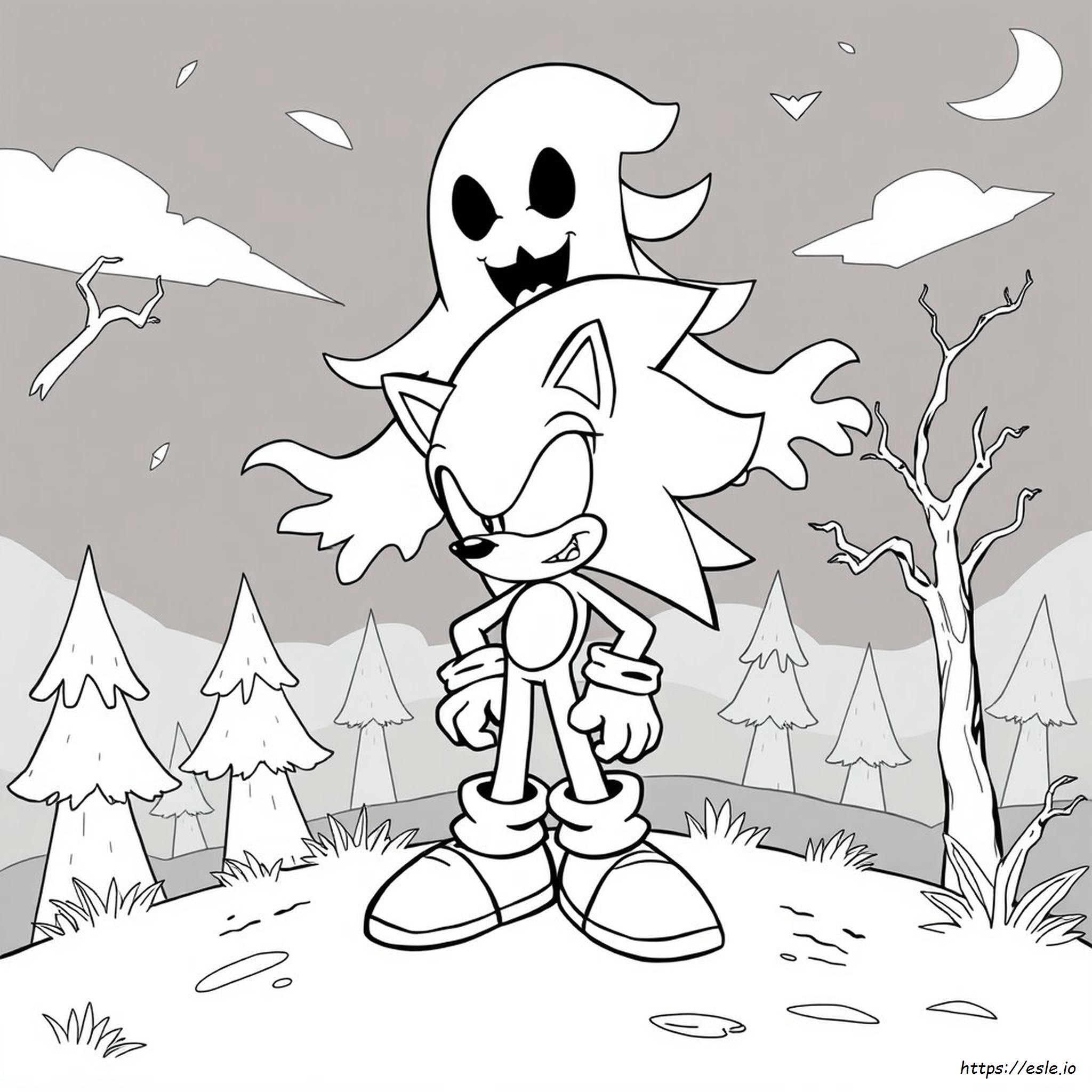 Kolorowanki Ponury Sonic
