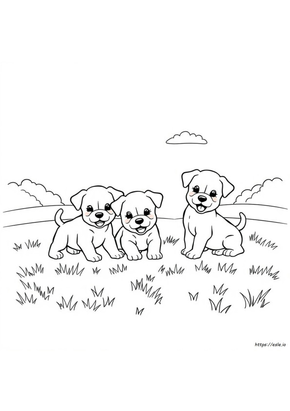 Gambar Mewarnai Anak Anjing
