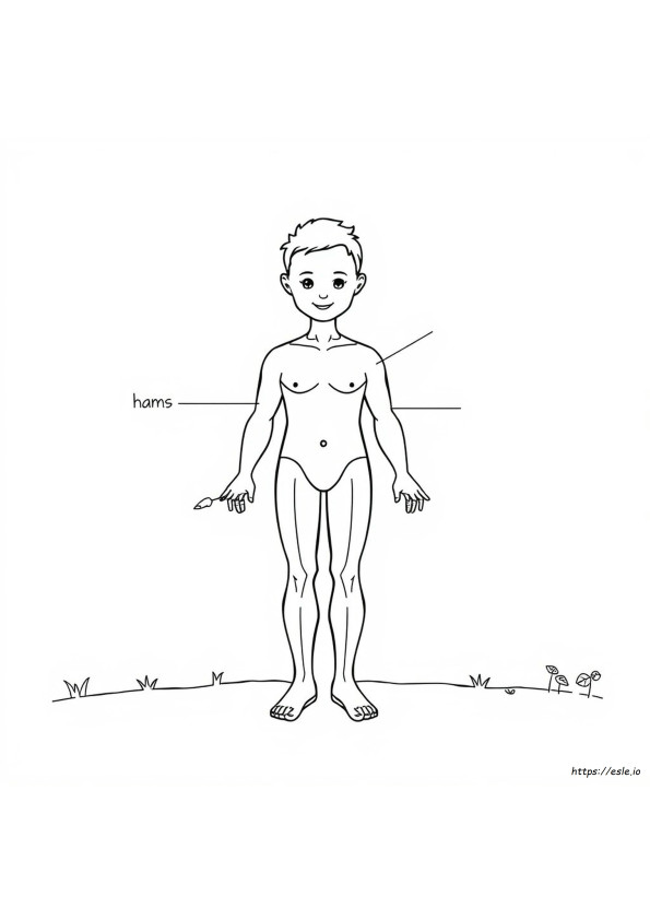 Body Parts Coloring Sheet