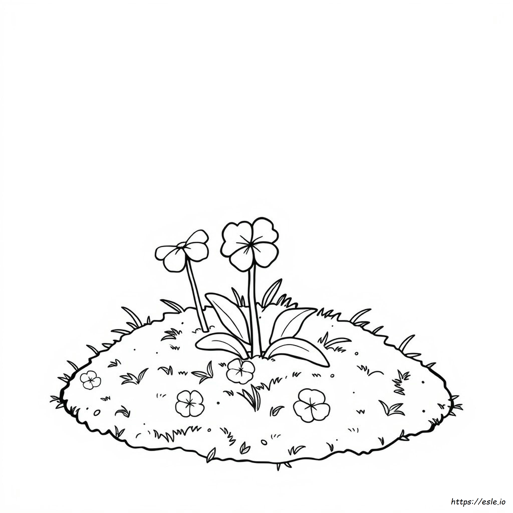 Free Coloring Pages Of Shamrocks