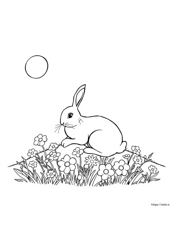 Is There A Colour Beginning With H