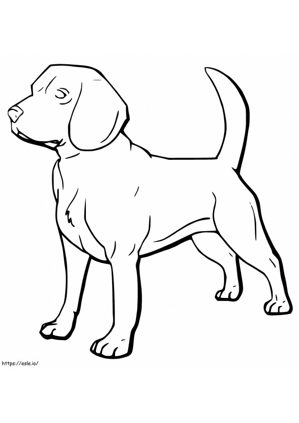Câine Beagle de imprimat gratuit de colorat