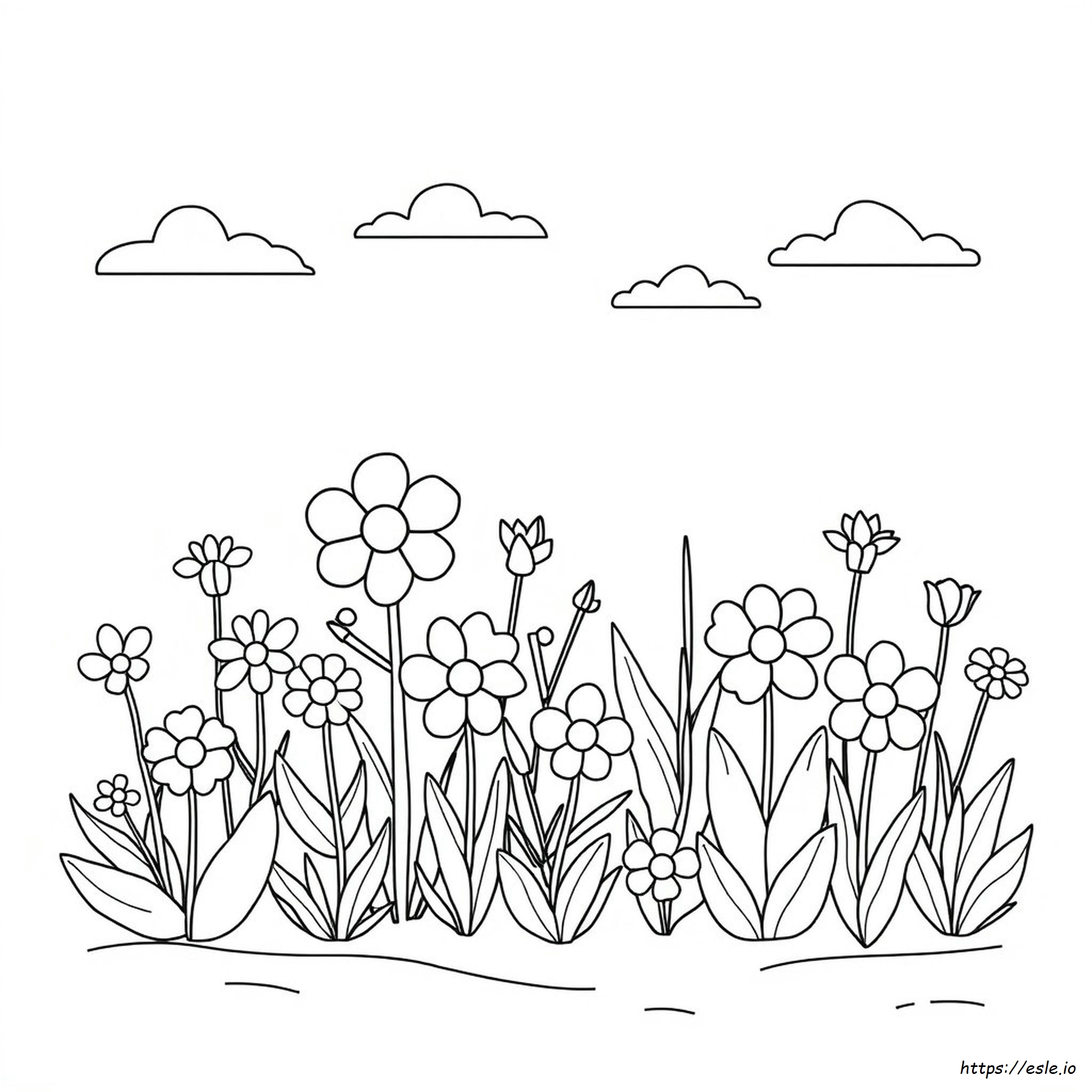 Acnh Flowers Colors