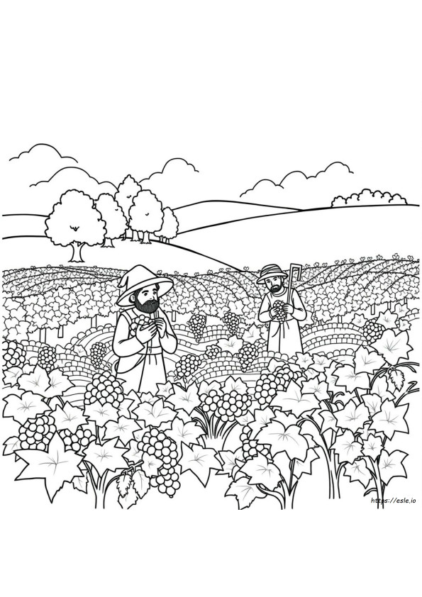 Parable Of The Vineyard Workers Coloring Page