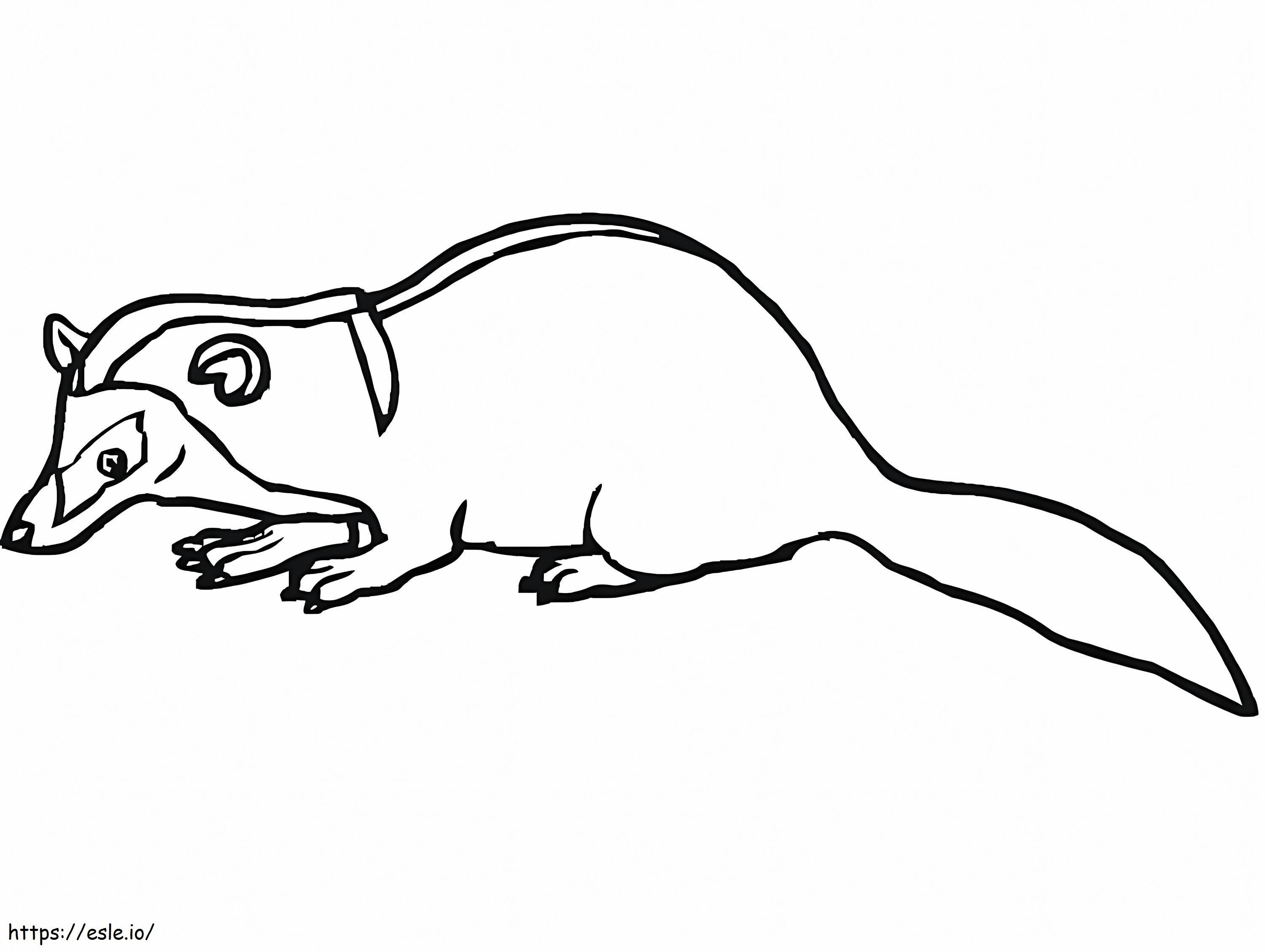 Free Badger coloring page