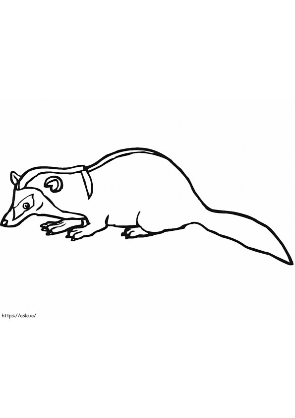 Free Badger coloring page