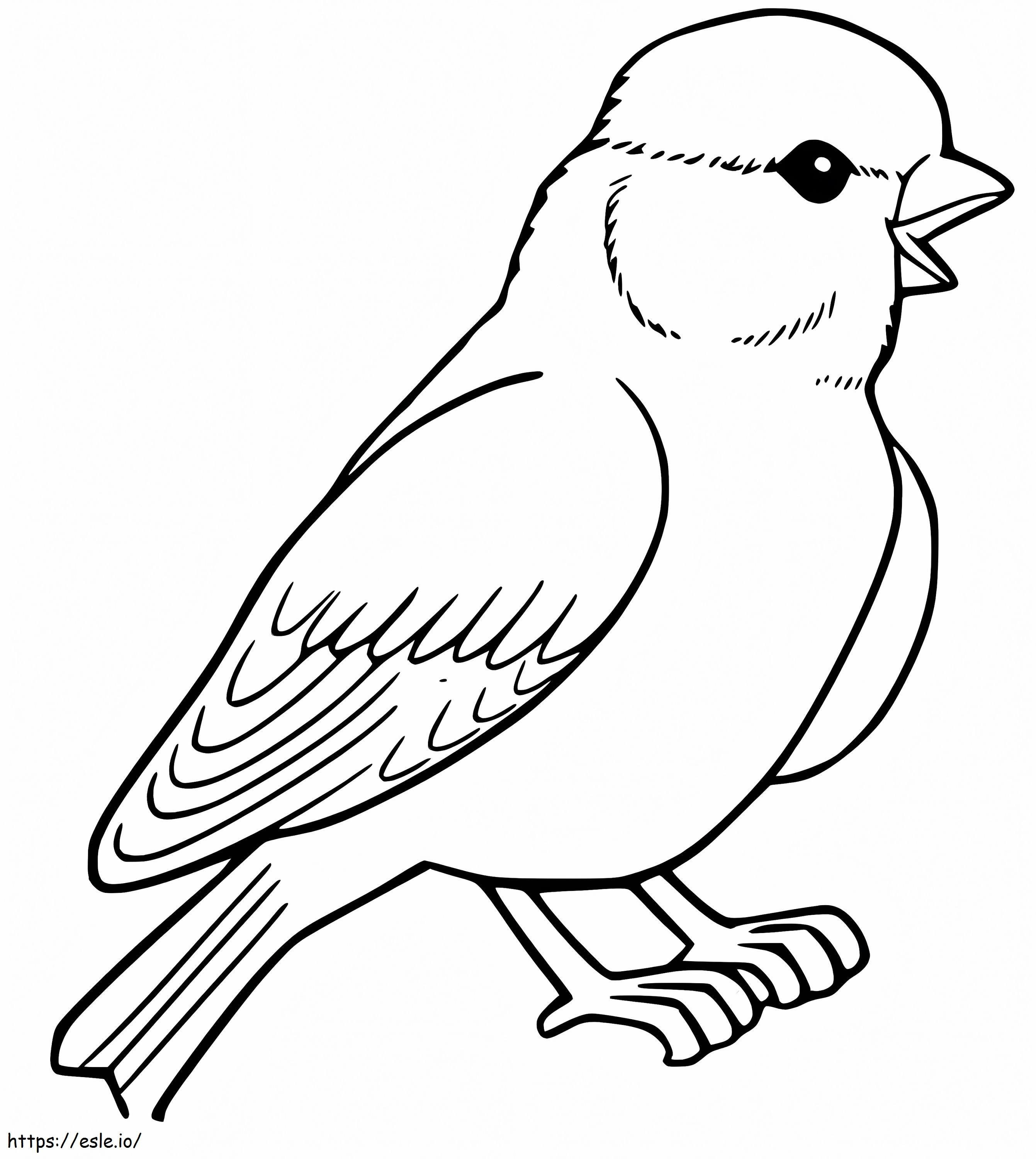Pikku Sparrow värityskuva