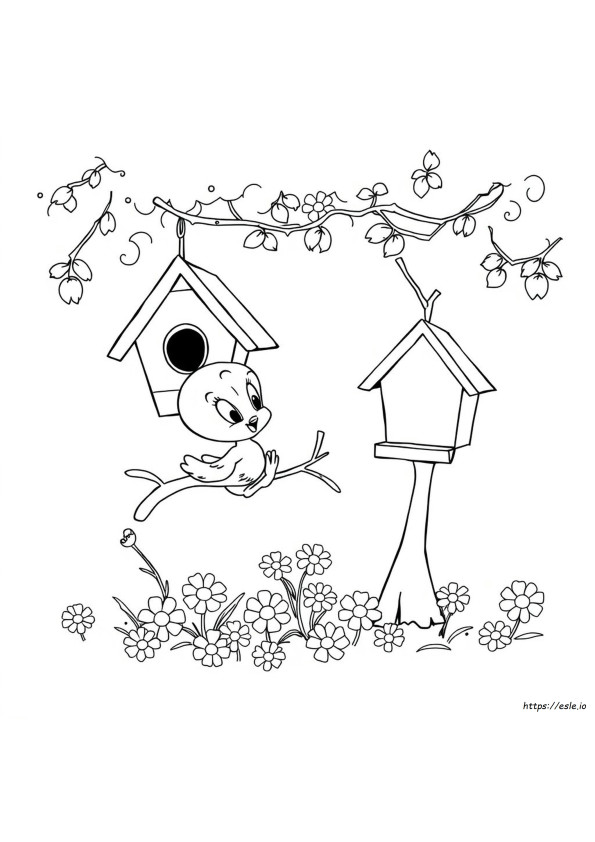 Tweety Boyama Sayfaları