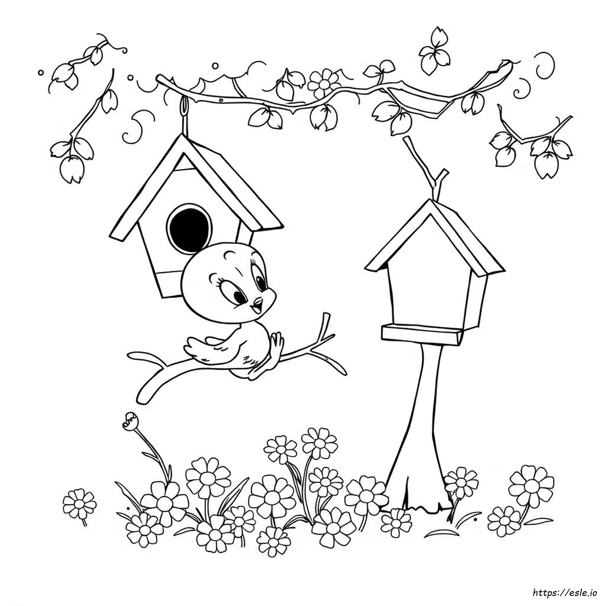 Coloring Pages Of Tweety