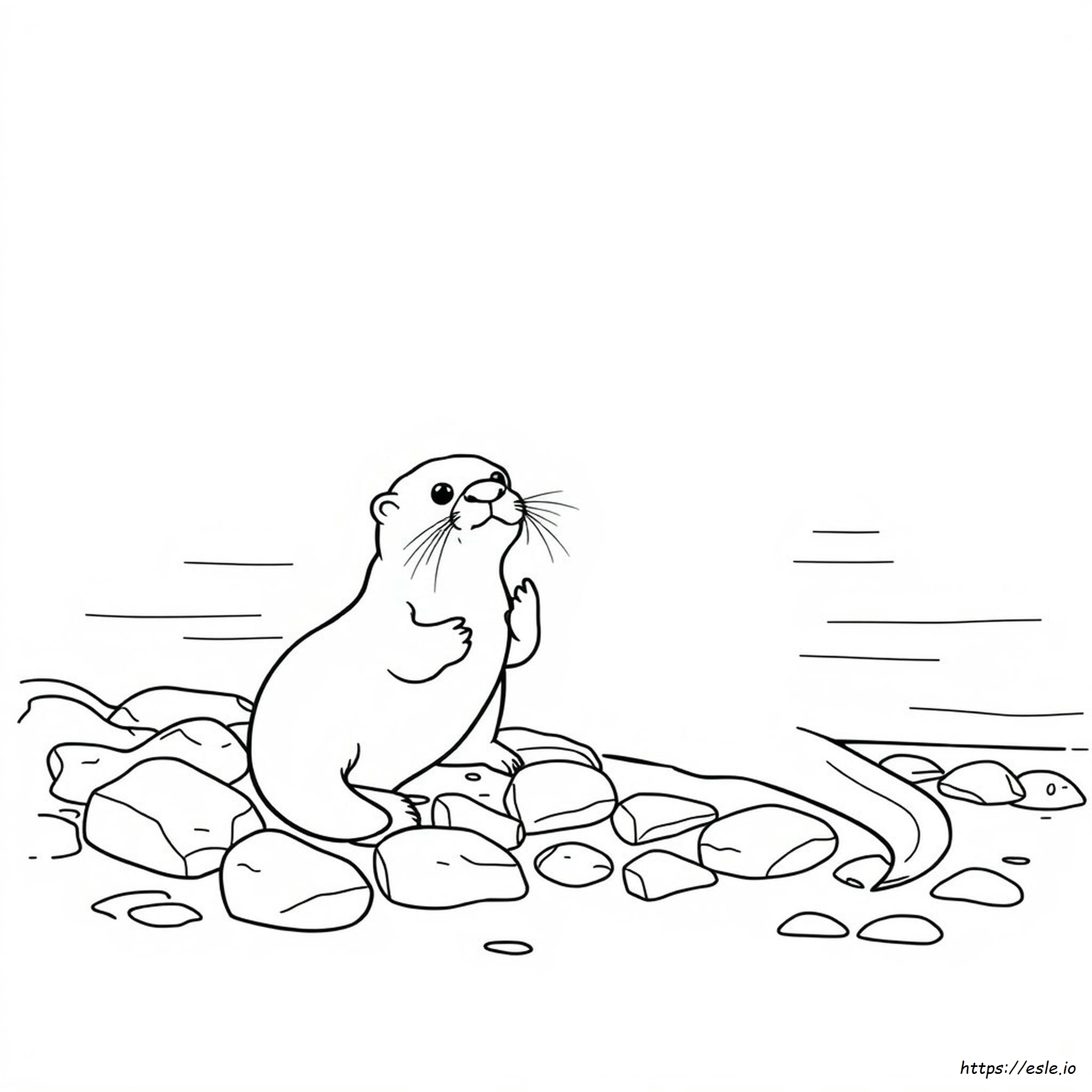 Coloring Pages Of Otters