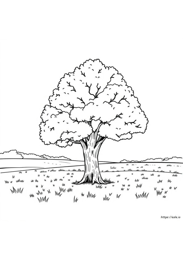 New Jersey State Tree Coloring Page