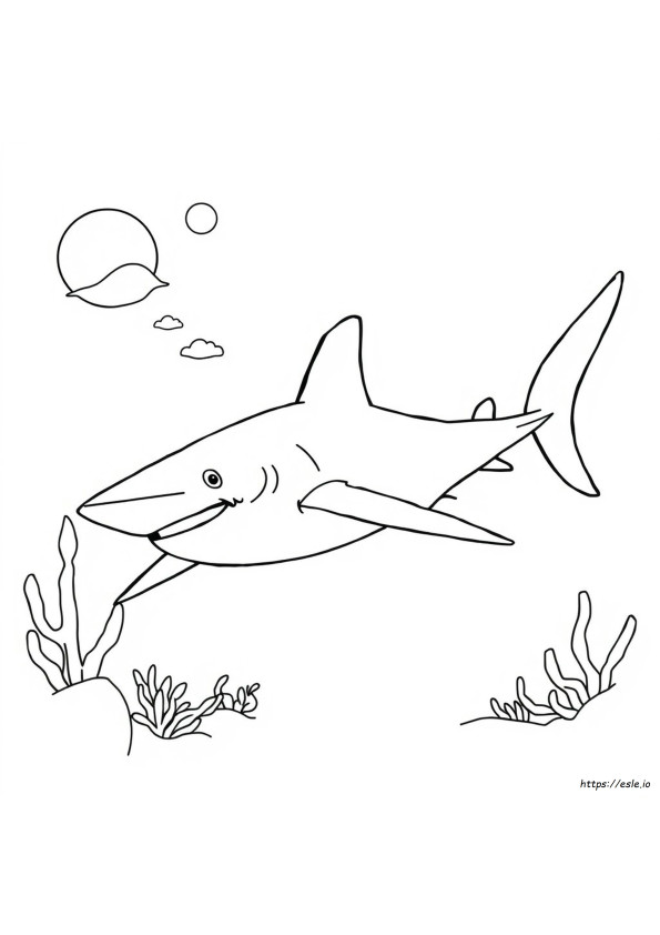 Hammerhead Shark Colouring