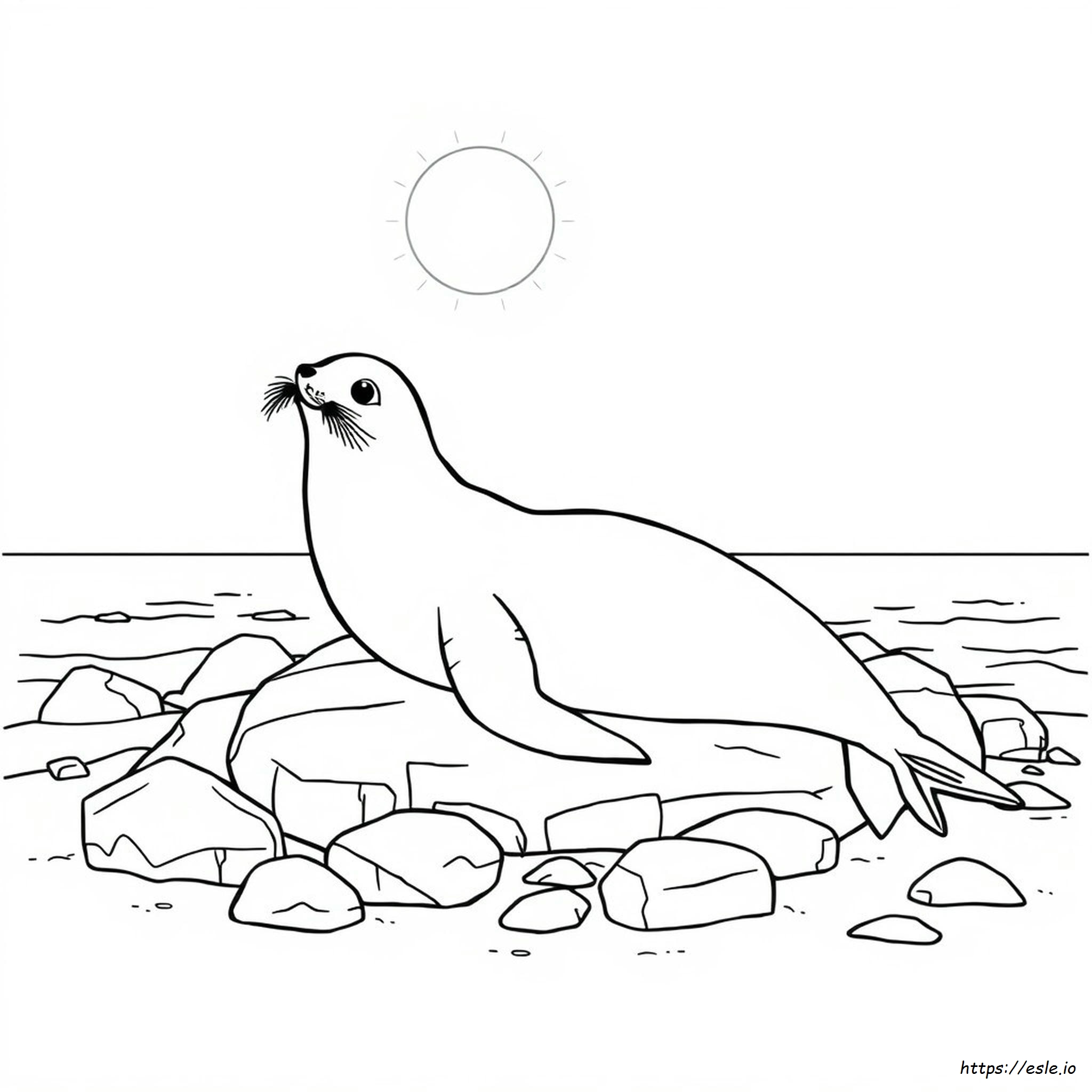 Sea Lion Colouring Pages