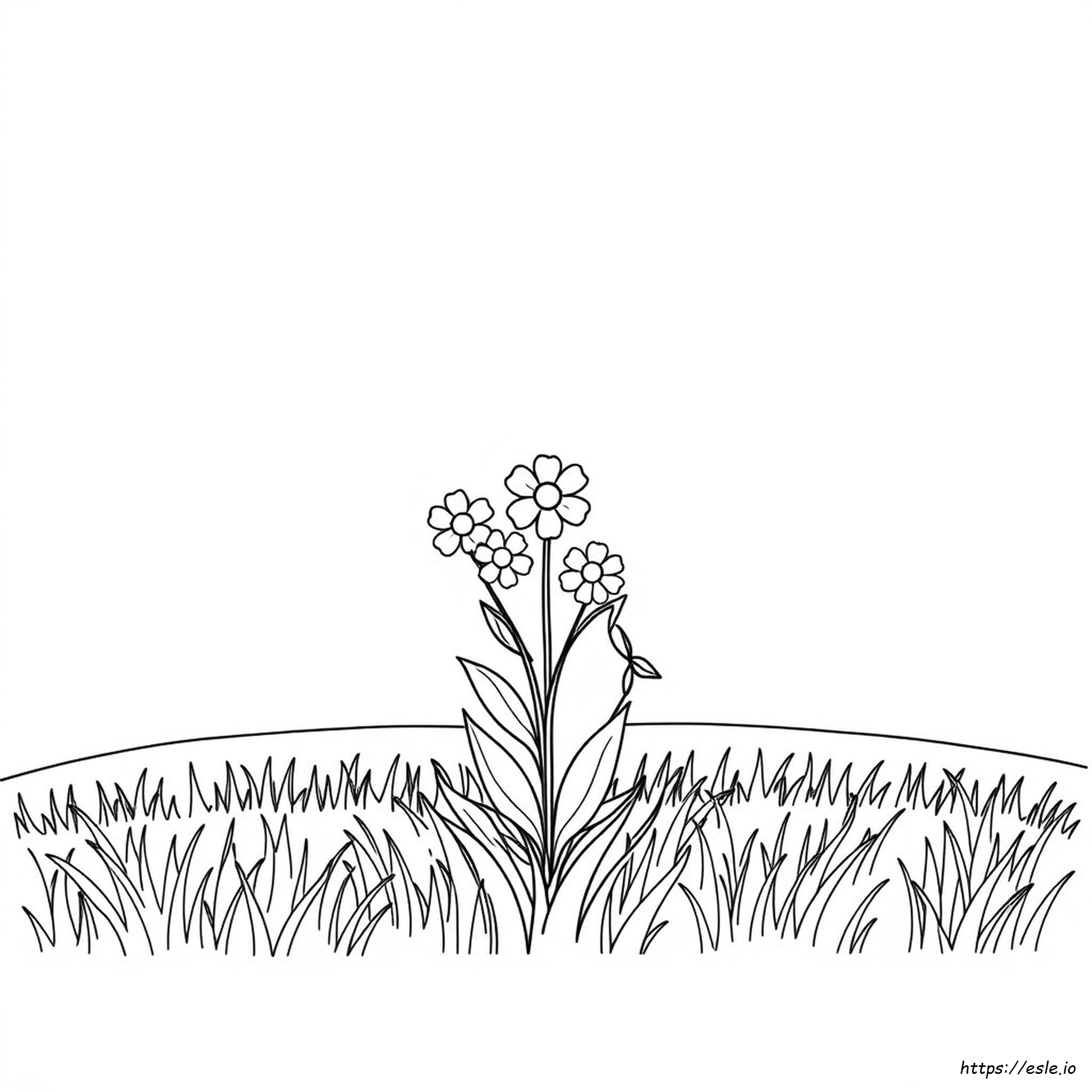 Disegni Da Colorare Per Adulti Di Ispirazione Stampabili