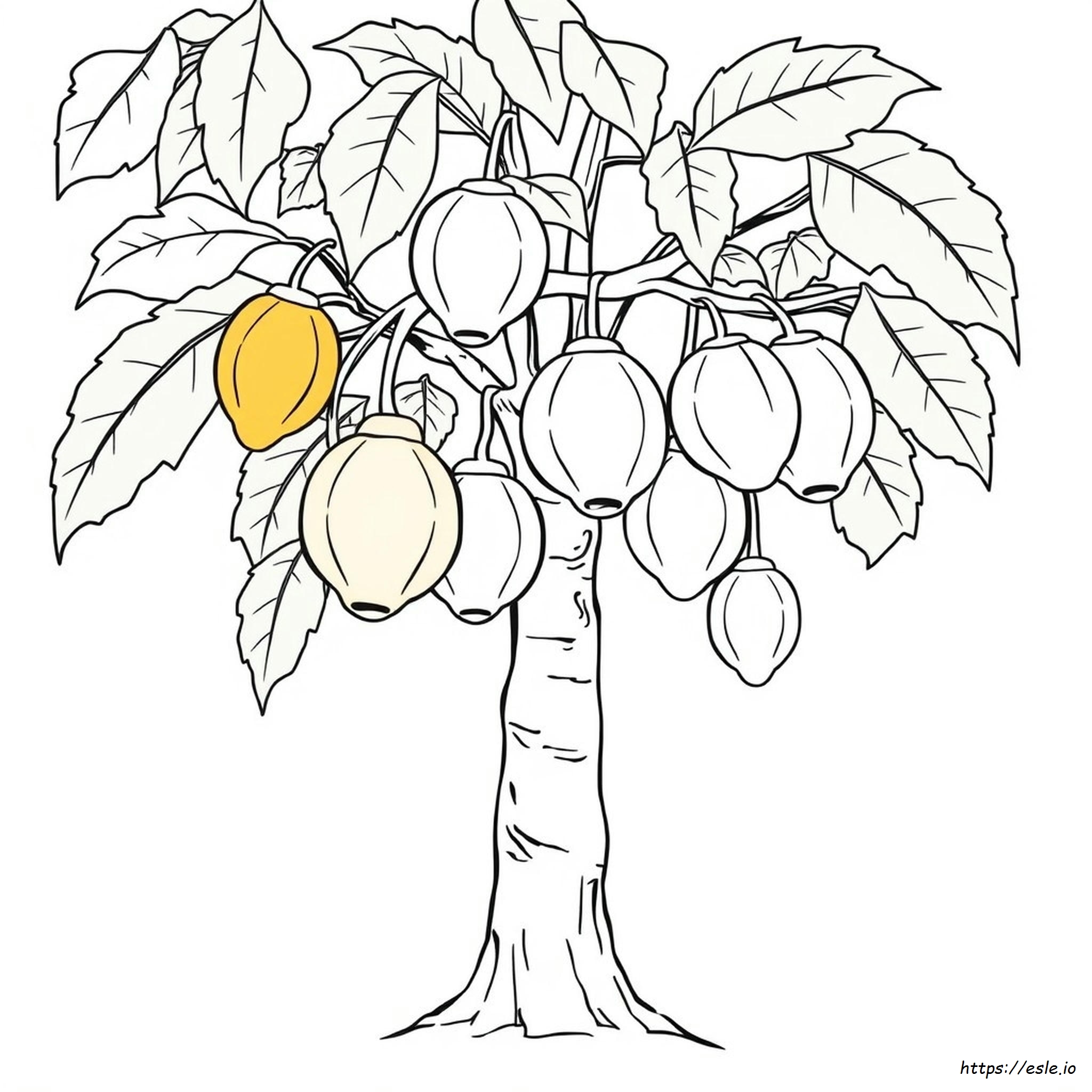 Papaya Coloring Pages