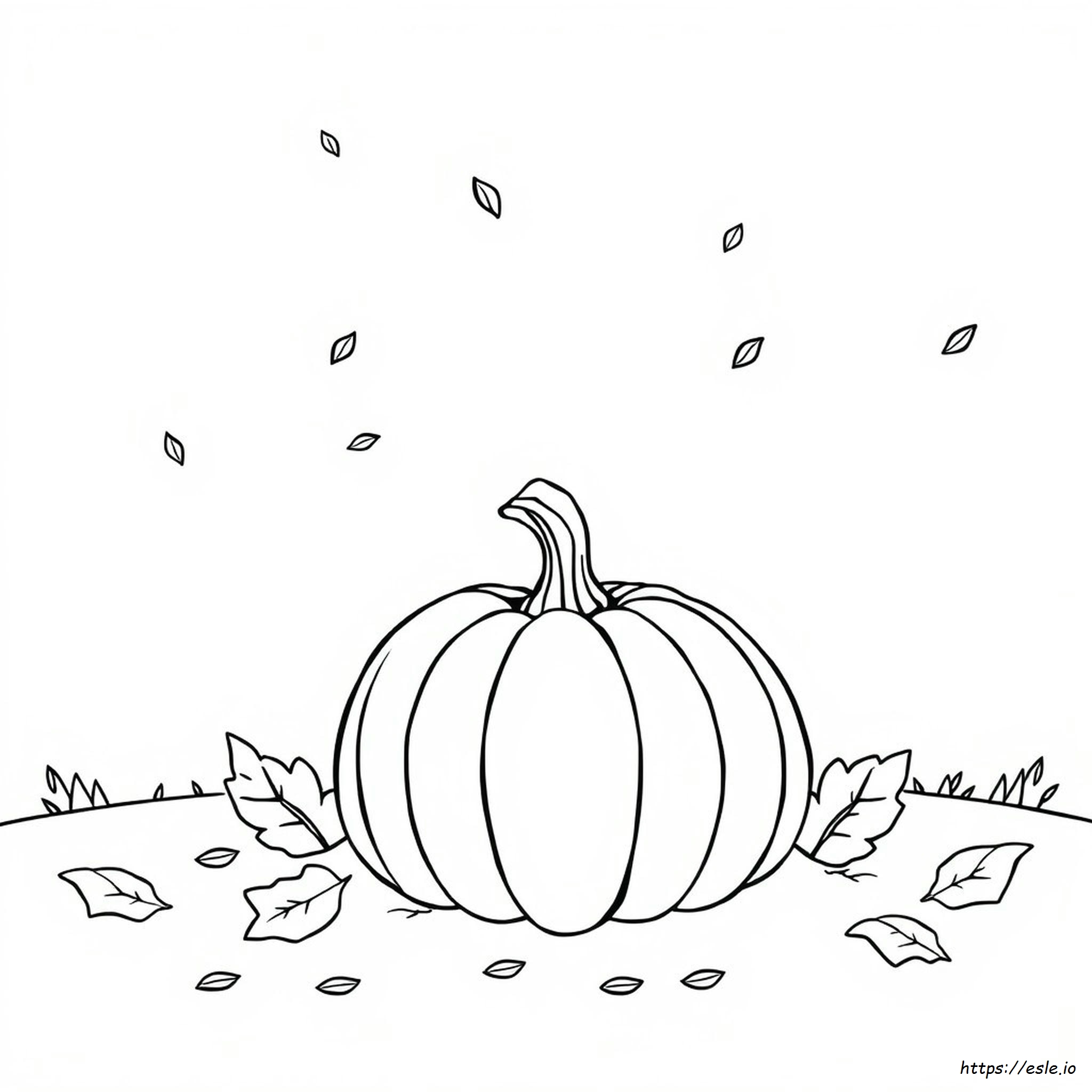 Pumpkin Clipart Coloring Page
