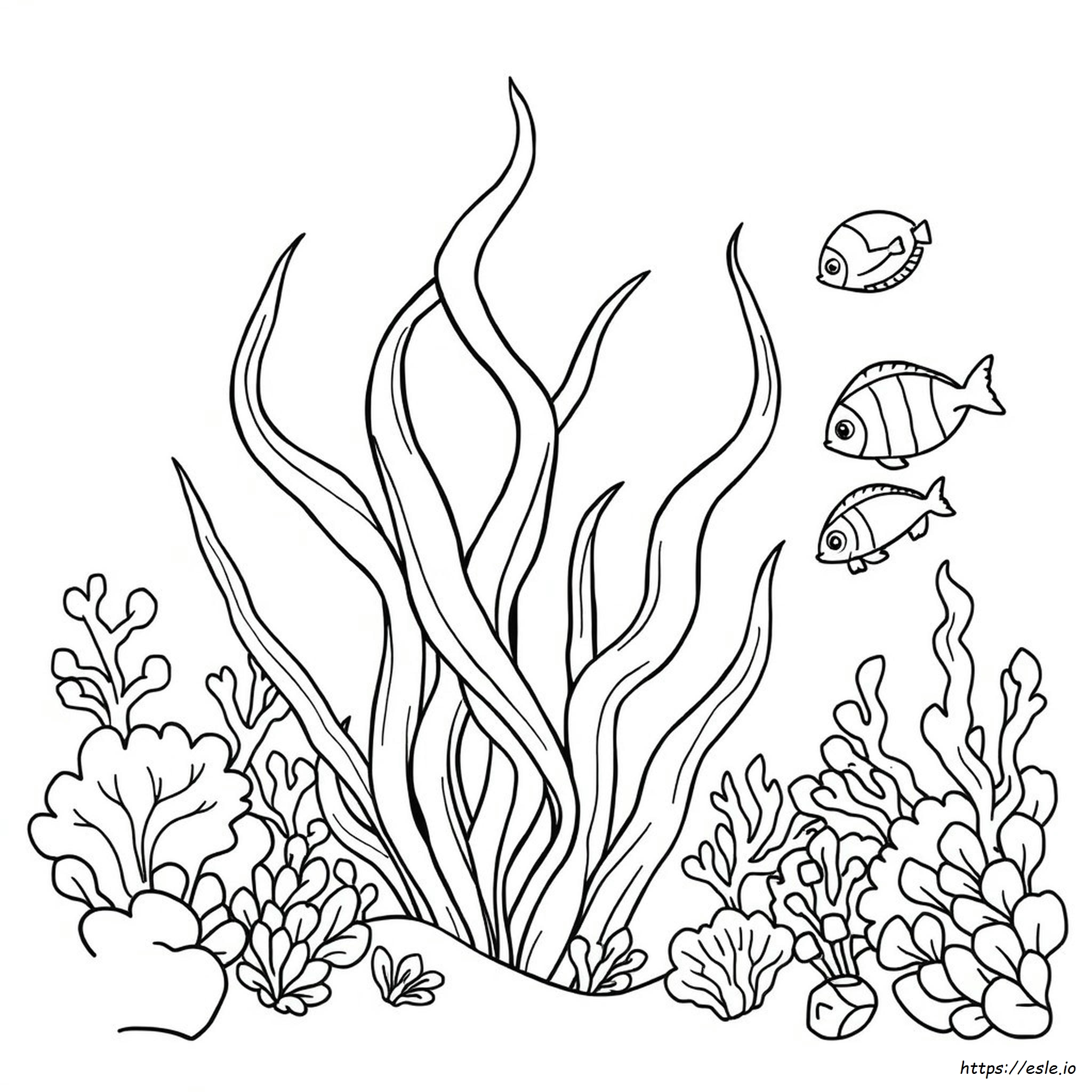 Printable Seaweed Coloring Page