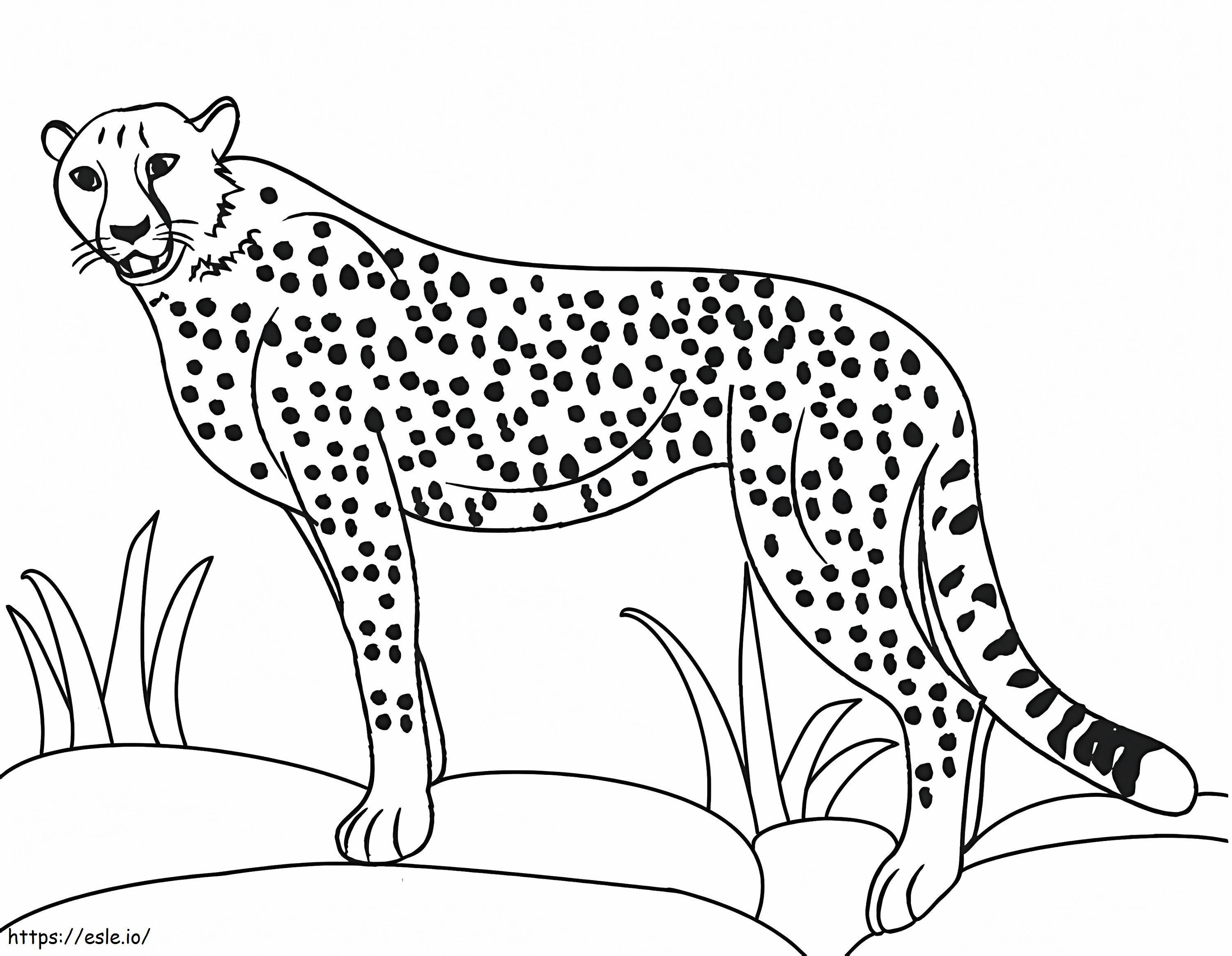 Perfect Cheetah coloring page