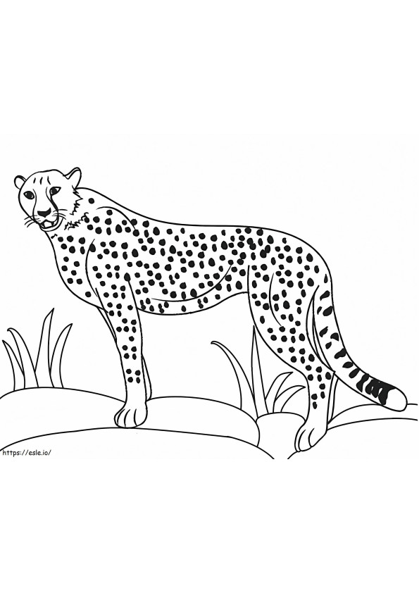 Täydellinen gepardi värityskuva