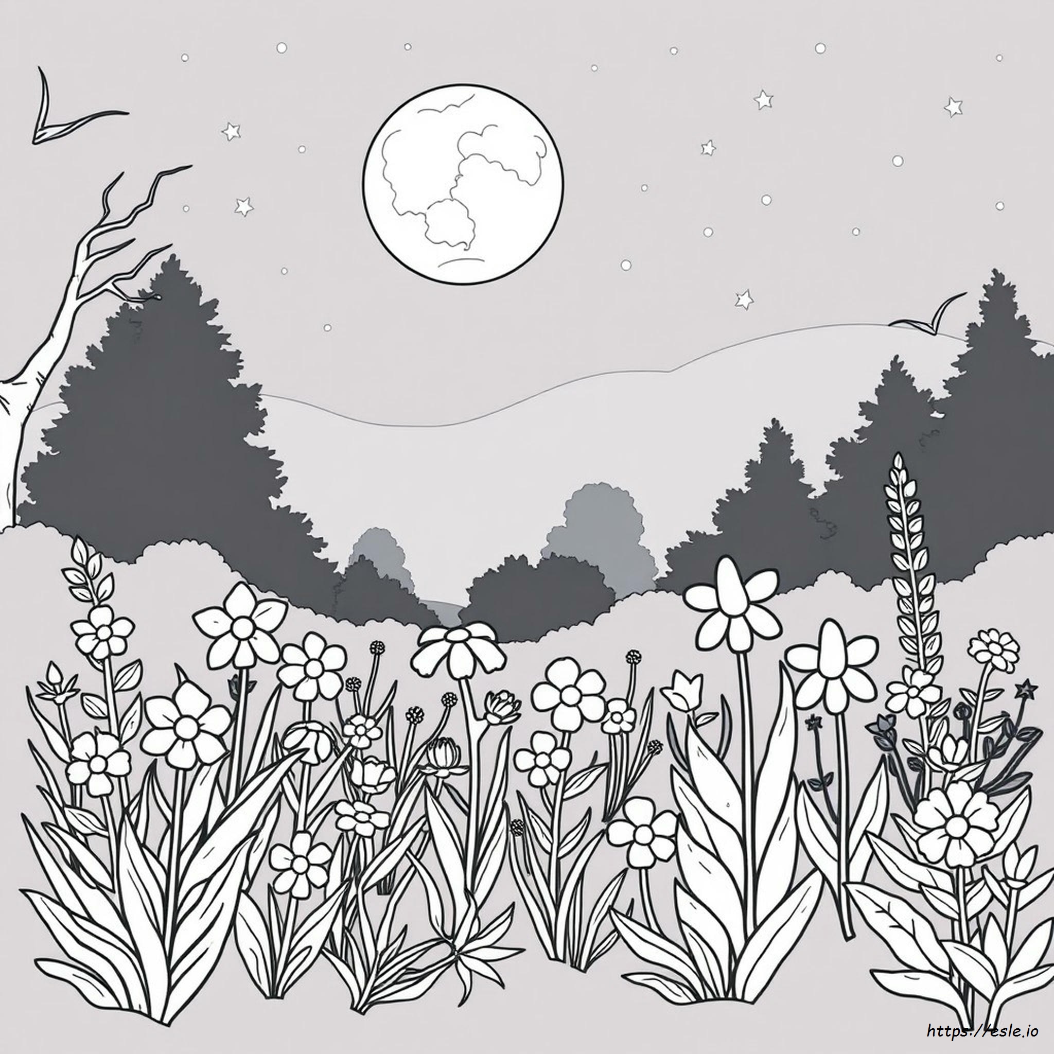 Night Garden Colouring