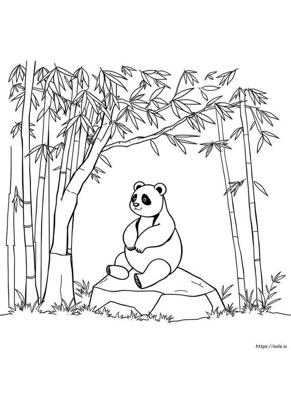 Panda Ausmalbilder Zum Ausdrucken