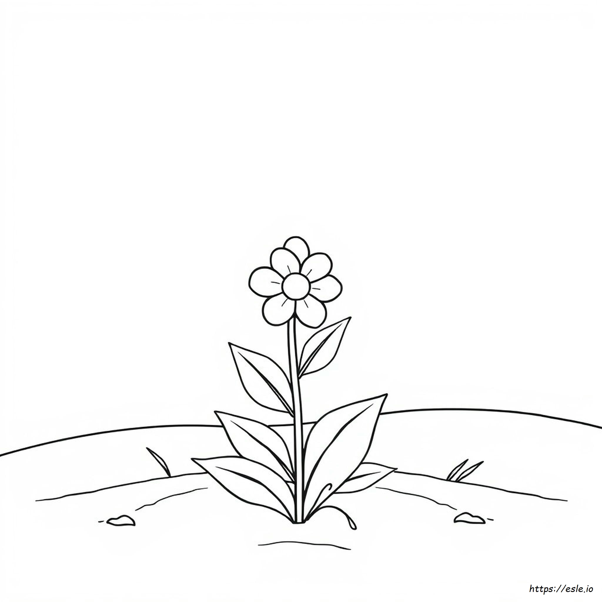 Flower Colouring In