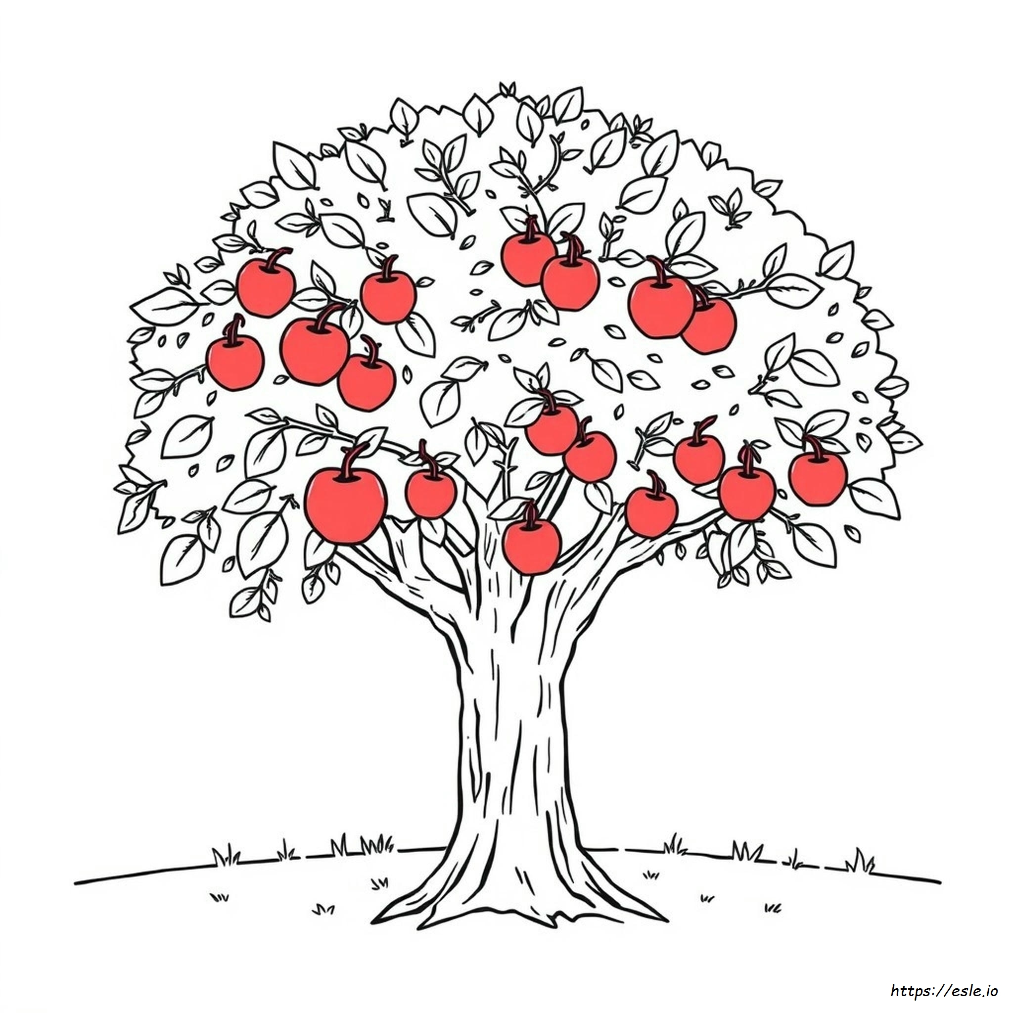 Albero Di Mele Da Colorare