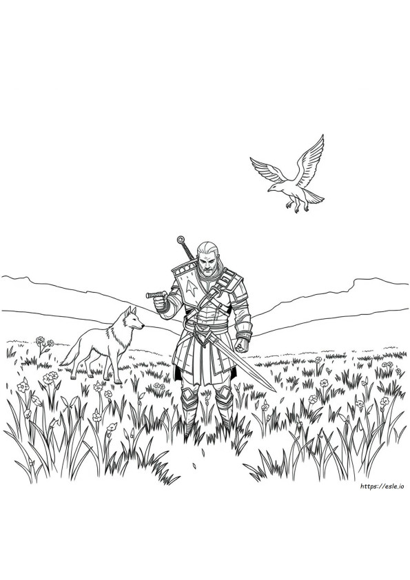 Il Witcher Libro Da Colorare