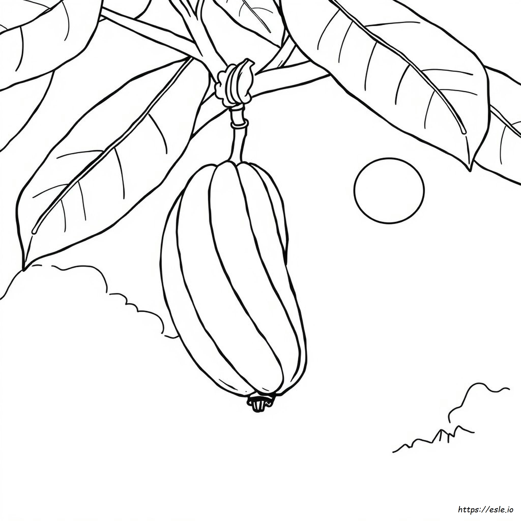 Disegni Da Colorare: Banana